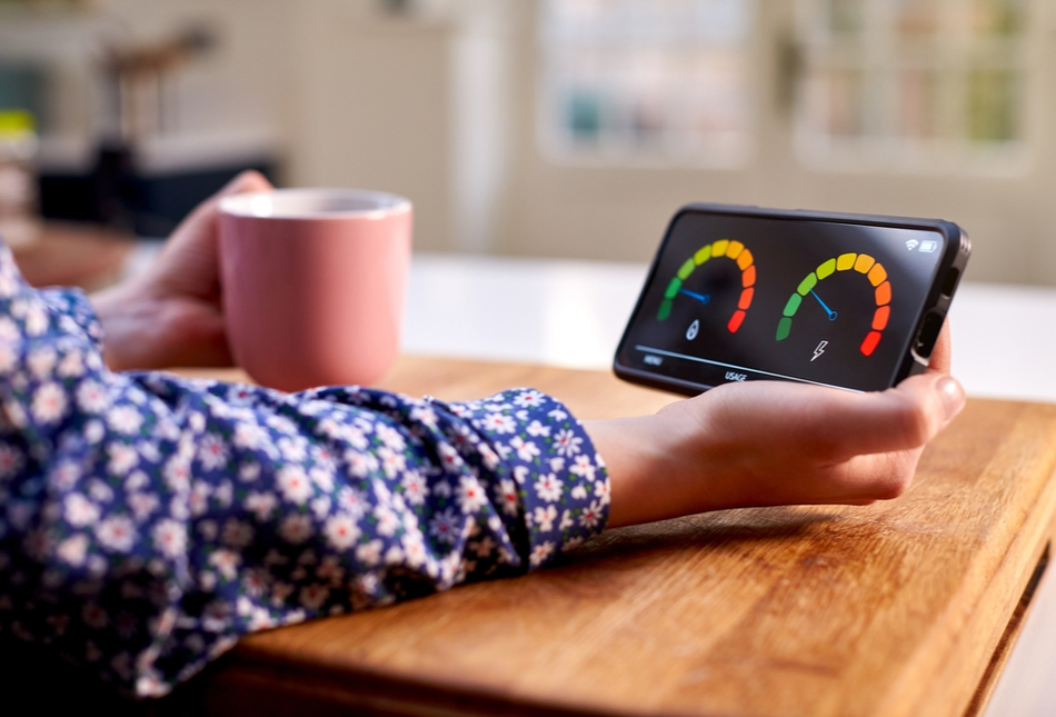 A woman holding a smart energy meter.