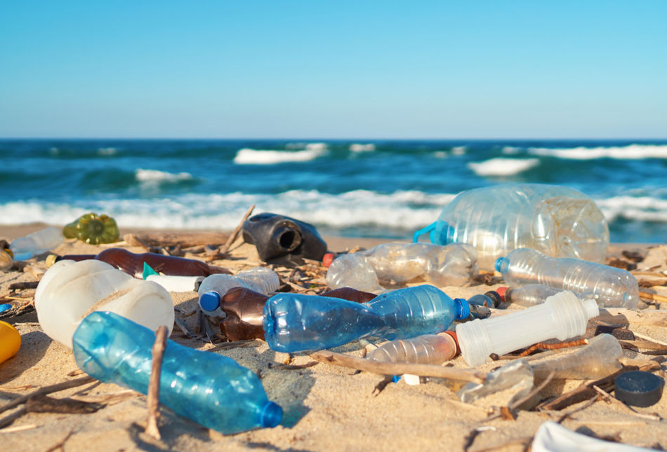 A beach with plastic waste.