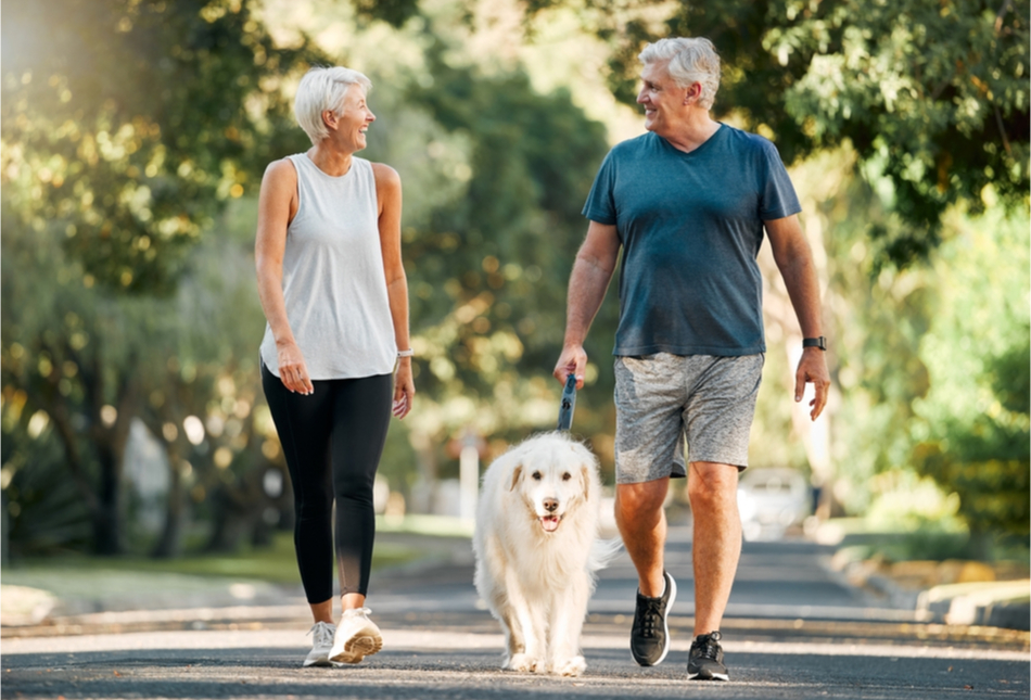 A couple walking their dog in a park.
