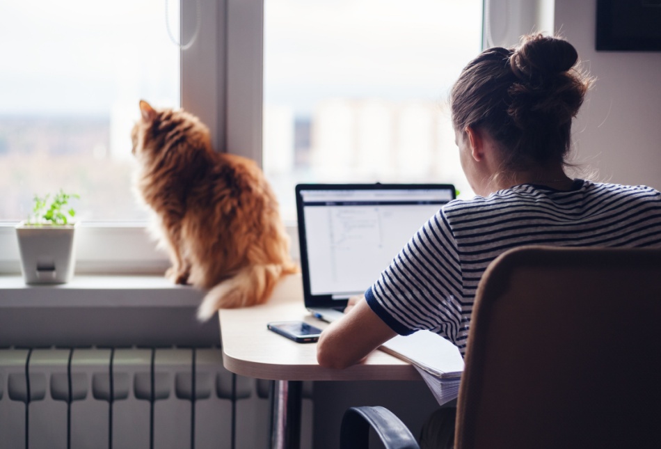 A woman working from home with a cat sitting on her windowsill.
