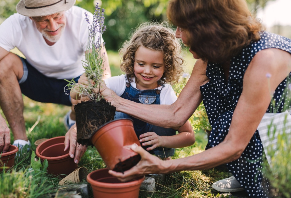 Grandparents gardening with their grandchild.