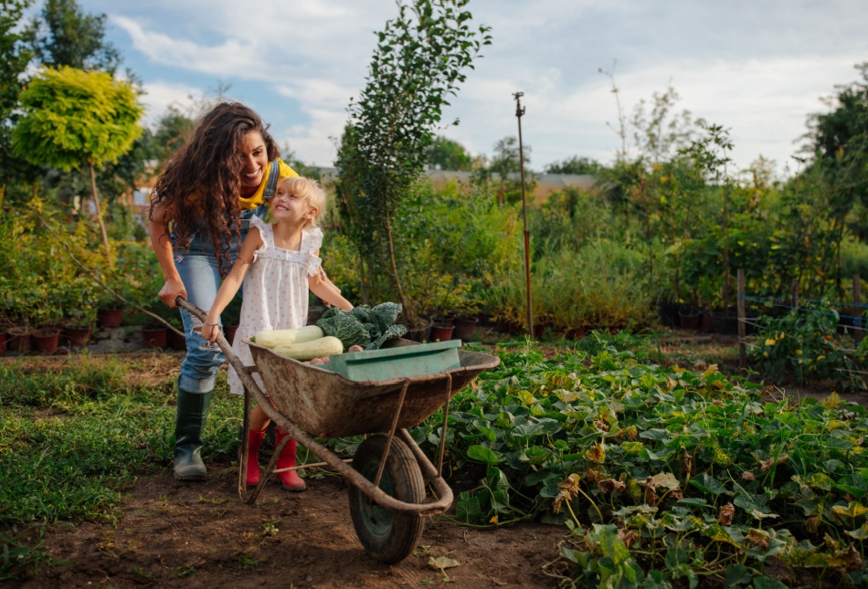 mother and daughter pushing a wheelbarrow together.