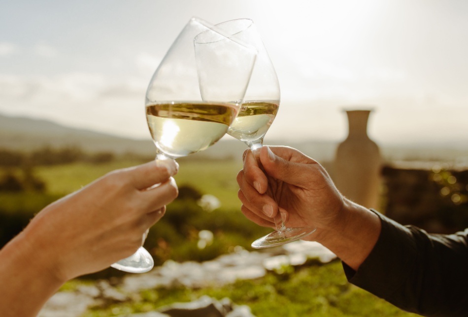 Two people holding up glasses of wine.