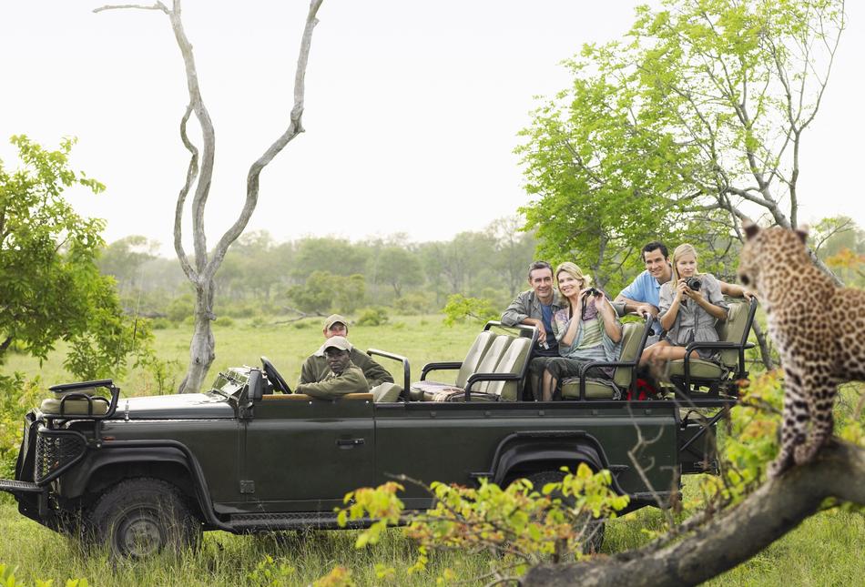 A group of tourists on safari taking a photo of a leopard.